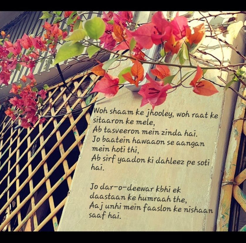 Bougainvillea: Ghur Gulzaar Hai&nbsp;♡